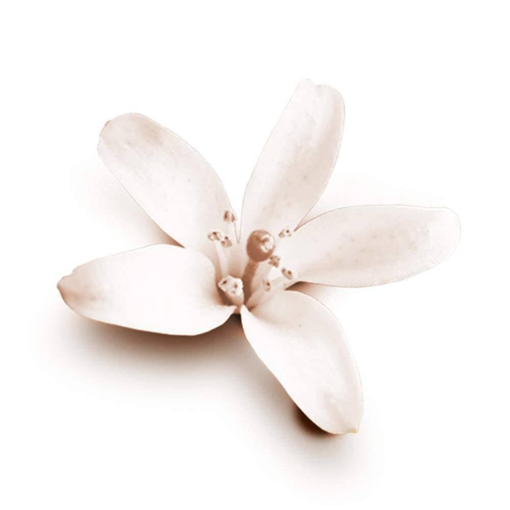 Dove Nourishing Secrets Deodorant 250ml - Image 10