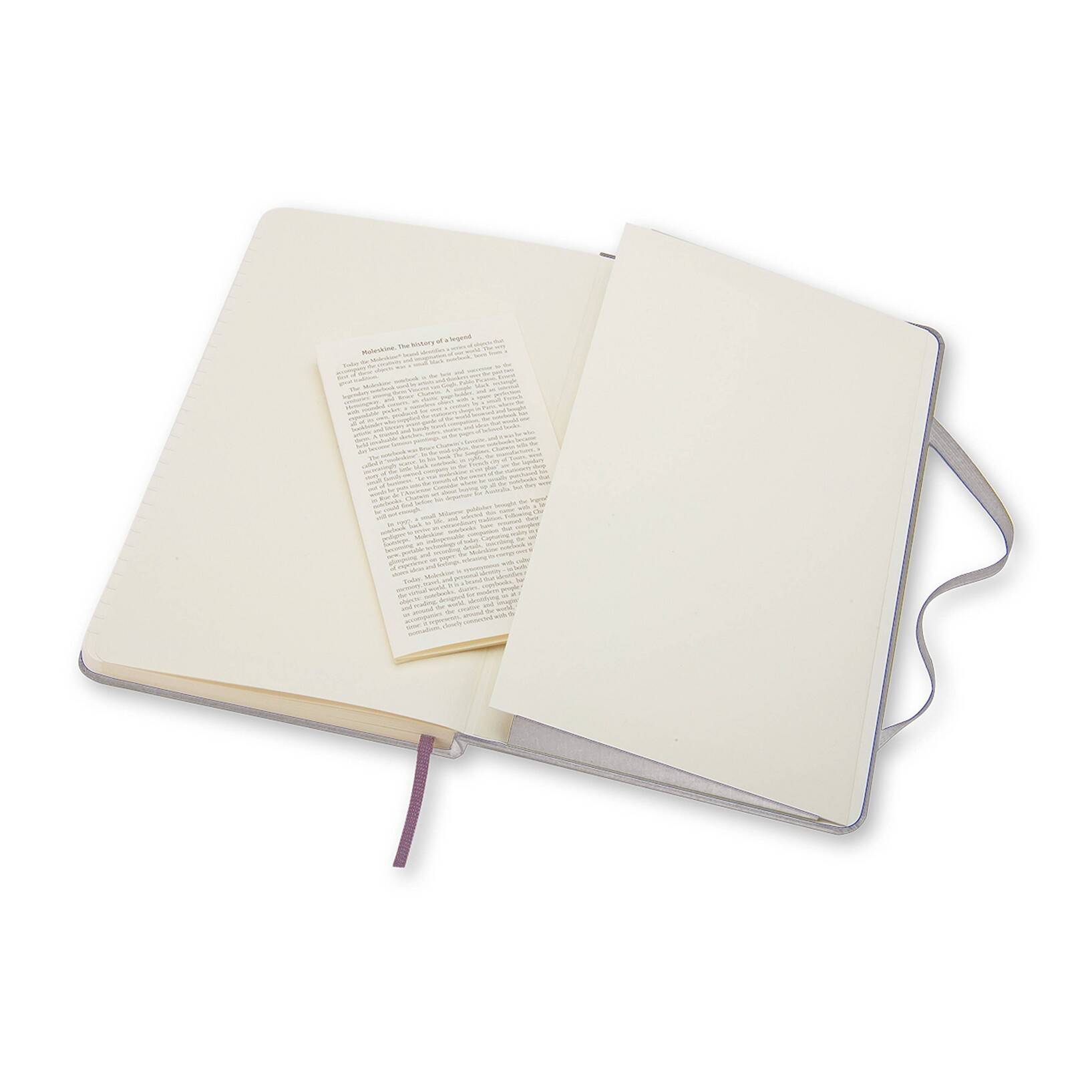 Moleskine Notebook Classic Large Hardcover - Image 6