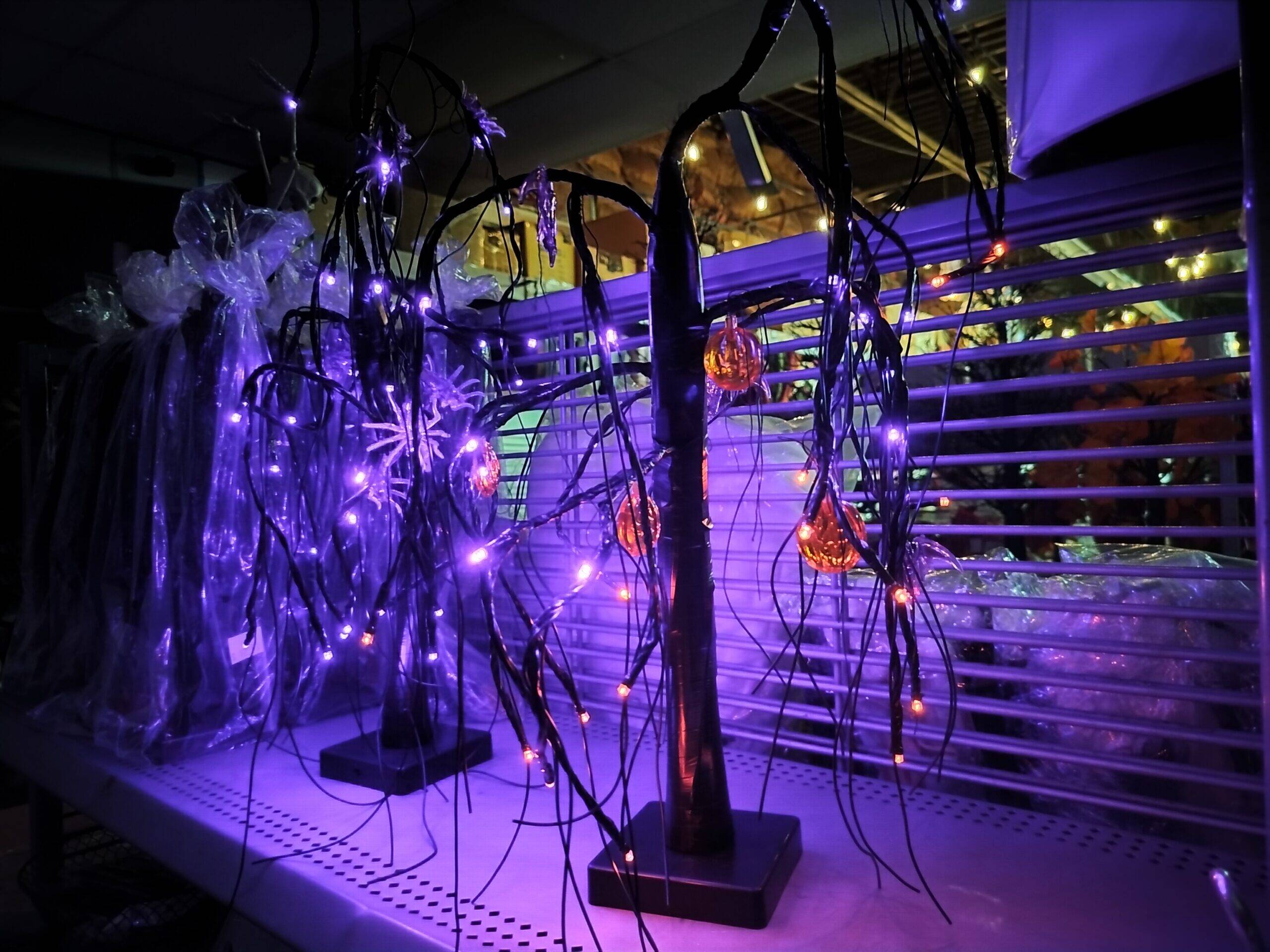 18'' Black Willow Tree with 24 LED lights, bats & pumpkins - Image 2