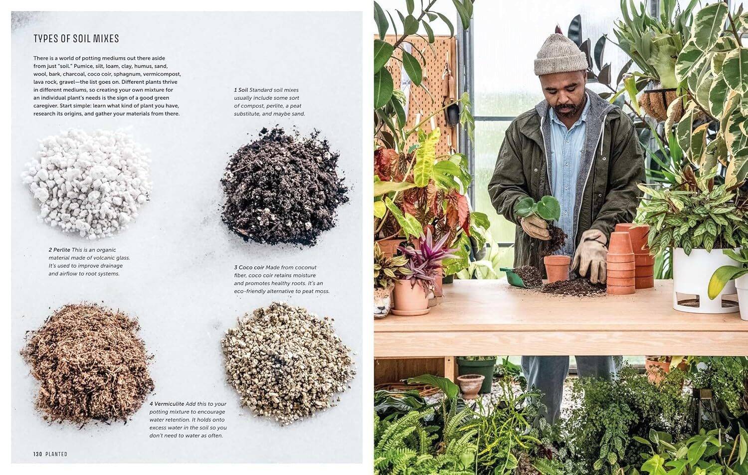 The Propagation Handbook: A guide to propagating houseplants - Image 5