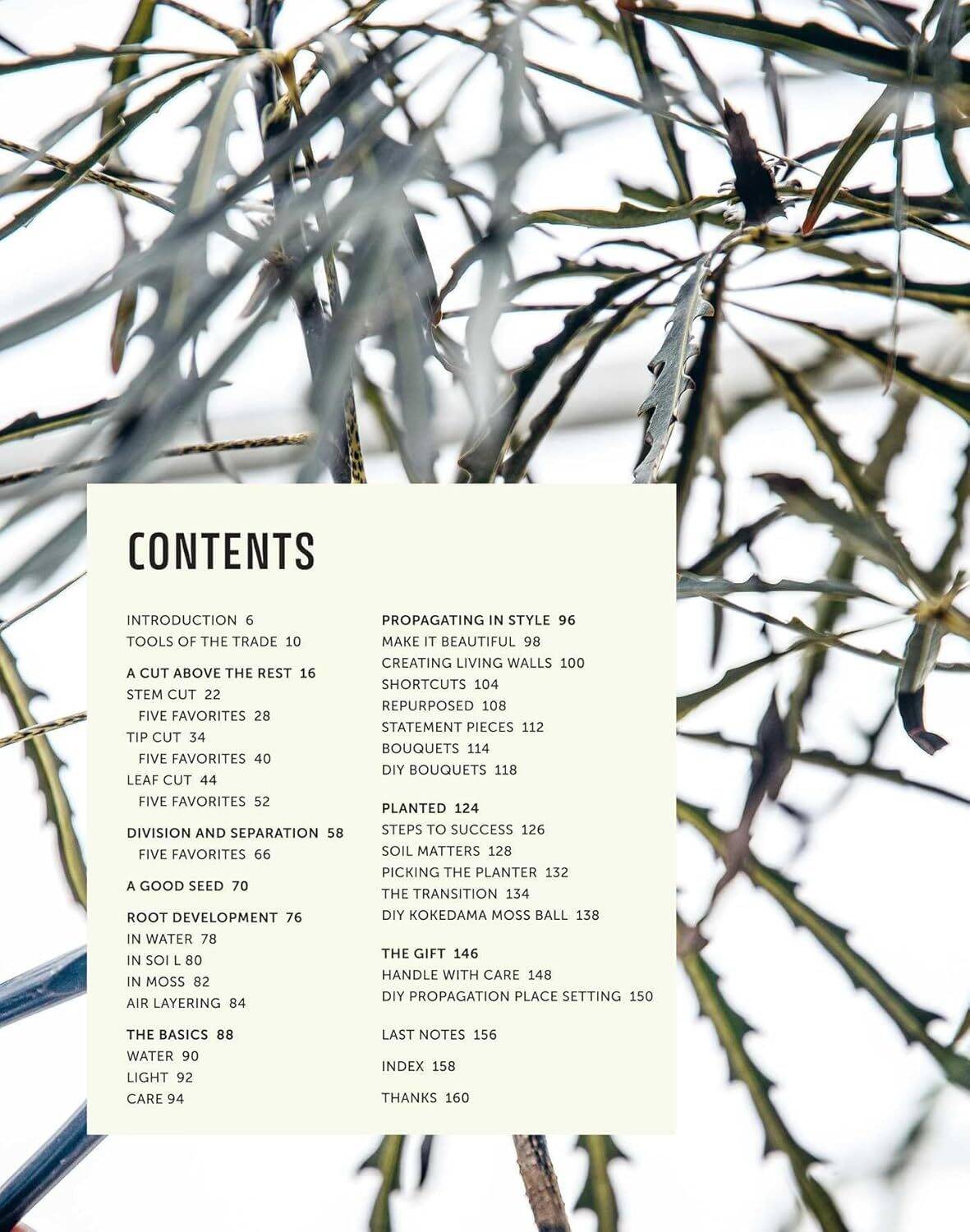 The Propagation Handbook: A guide to propagating houseplants - Image 6